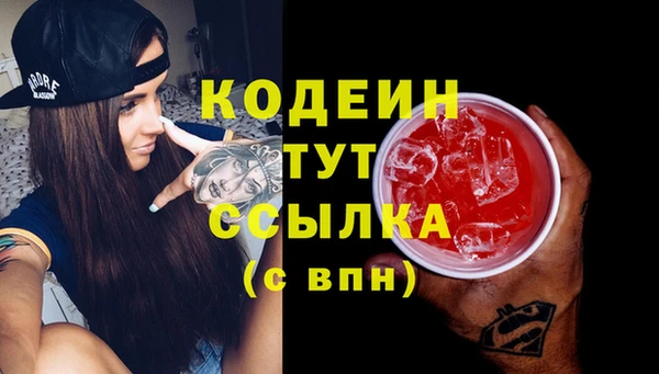 метадон Алексин